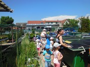 Celodenní výlet Mnichovo Hradiště